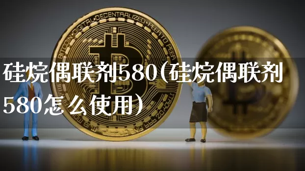 硅烷偶联剂580(硅烷偶联剂580怎么使用)_https://www.qgjzrcxxzxpt.com_广期所_第1张