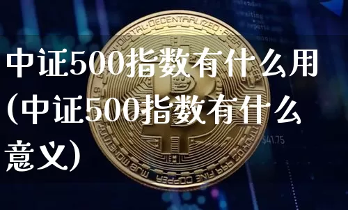 中证500指数有什么用(中证500指数有什么意义)_https://www.qgjzrcxxzxpt.com_大商所_第1张