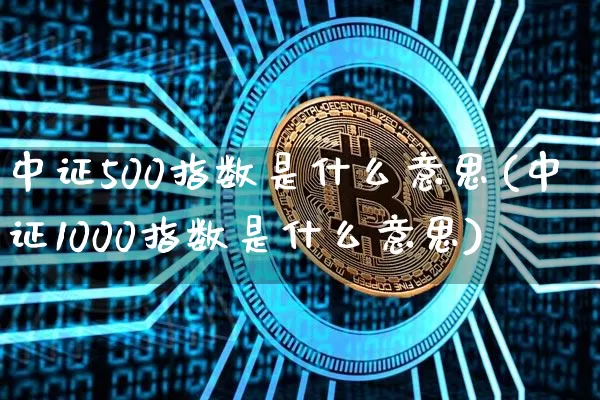 中证500指数是什么意思(中证1000指数是什么意思)_https://www.qgjzrcxxzxpt.com_大商所_第1张