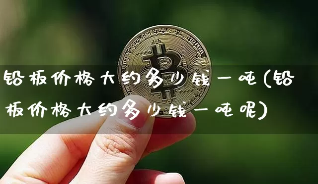 铅板价格大约多少钱一吨(铅板价格大约多少钱一吨呢)_https://www.qgjzrcxxzxpt.com_上期能源_第1张
