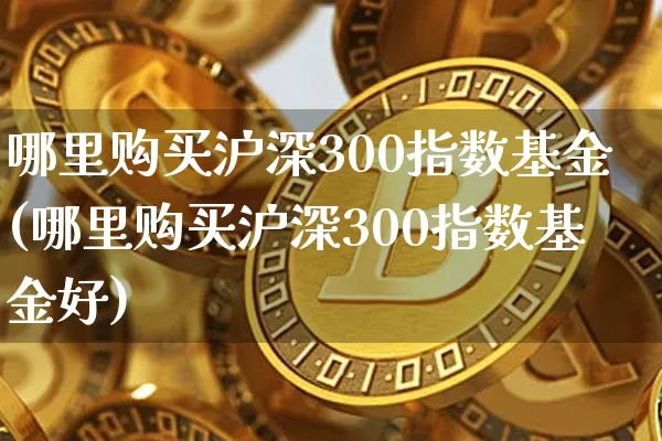哪里购买沪深300指数基金(哪里购买沪深300指数基金好)_https://www.qgjzrcxxzxpt.com_上期能源_第1张