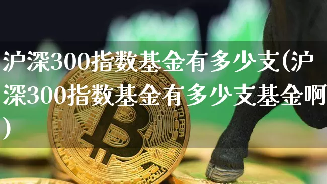 沪深300指数基金有多少支(沪深300指数基金有多少支基金啊)_https://www.qgjzrcxxzxpt.com_郑商所_第1张