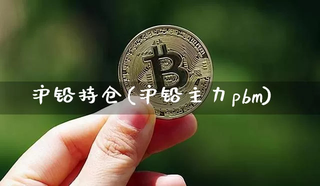 沪铅持仓(沪铅主力pbm)_https://www.qgjzrcxxzxpt.com_上期能源_第1张