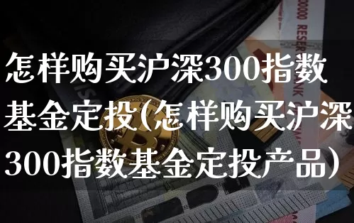 怎样购买沪深300指数基金定投(怎样购买沪深300指数基金定投产品)_https://www.qgjzrcxxzxpt.com_大商所_第1张