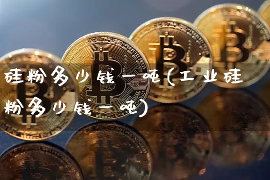 硅粉多少钱一吨(工业硅粉多少钱一吨)_https://www.qgjzrcxxzxpt.com_广期所_第1张