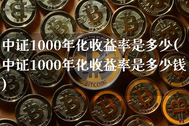 中证1000年化收益率是多少(中证1000年化收益率是多少钱)_https://www.qgjzrcxxzxpt.com_郑商所_第1张