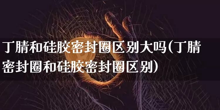 丁腈和硅胶密封圈区别大吗(丁腈密封圈和硅胶密封圈区别)_https://www.qgjzrcxxzxpt.com_郑商所_第1张