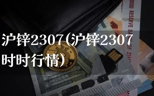 沪锌2307(沪锌2307时时行情)_https://www.qgjzrcxxzxpt.com_大商所_第1张