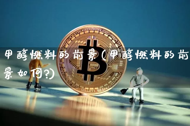 甲醇燃料的前景(甲醇燃料的前景如何?)_https://www.qgjzrcxxzxpt.com_大商所_第1张
