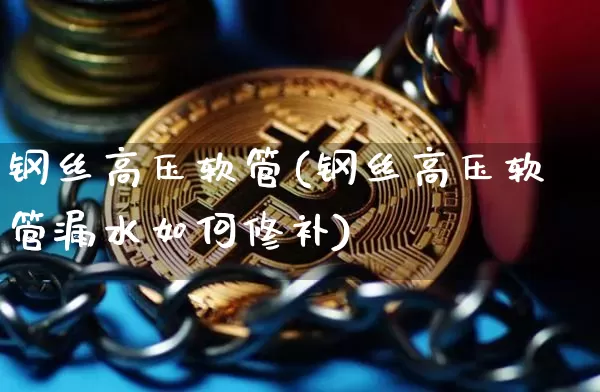 钢丝高压软管(钢丝高压软管漏水如何修补)_https://www.qgjzrcxxzxpt.com_中金所_第1张