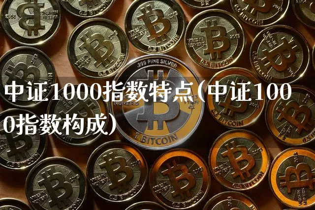 中证1000指数特点(中证1000指数构成)_https://www.qgjzrcxxzxpt.com_大商所_第1张