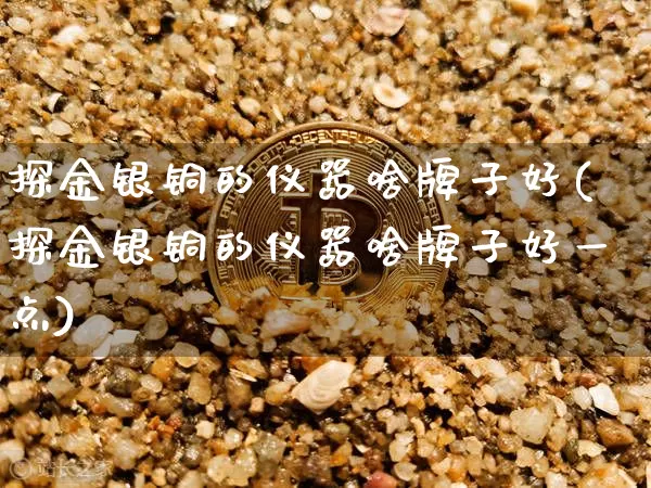探金银铜的仪器啥牌子好(探金银铜的仪器啥牌子好一点)_https://www.qgjzrcxxzxpt.com_郑商所_第1张