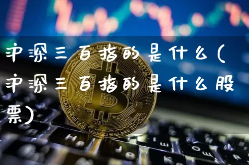 沪深三百指的是什么(沪深三百指的是什么股票)_https://www.qgjzrcxxzxpt.com_郑商所_第1张