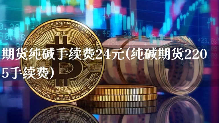 期货纯碱手续费24元(纯碱期货2205手续费)_https://www.qgjzrcxxzxpt.com_上期能源_第1张