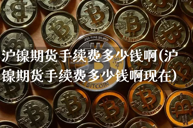 沪镍期货手续费多少钱啊(沪镍期货手续费多少钱啊现在)_https://www.qgjzrcxxzxpt.com_大商所_第1张