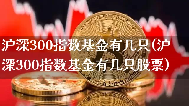沪深300指数基金有几只(沪深300指数基金有几只股票)_https://www.qgjzrcxxzxpt.com_上期能源_第1张