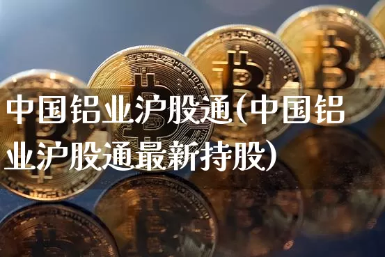 中国铝业沪股通(中国铝业沪股通最新持股)_https://www.qgjzrcxxzxpt.com_郑商所_第1张