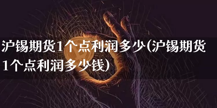沪锡期货1个点利润多少(沪锡期货1个点利润多少钱)_https://www.qgjzrcxxzxpt.com_广期所_第1张