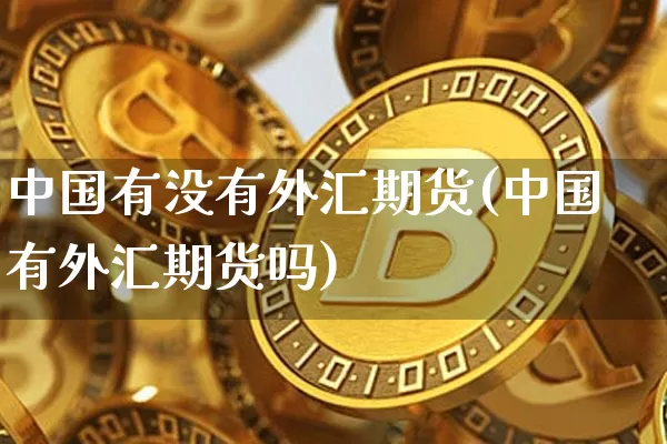 中国有没有外汇期货(中国有外汇期货吗)_https://www.qgjzrcxxzxpt.com_上期所_第1张