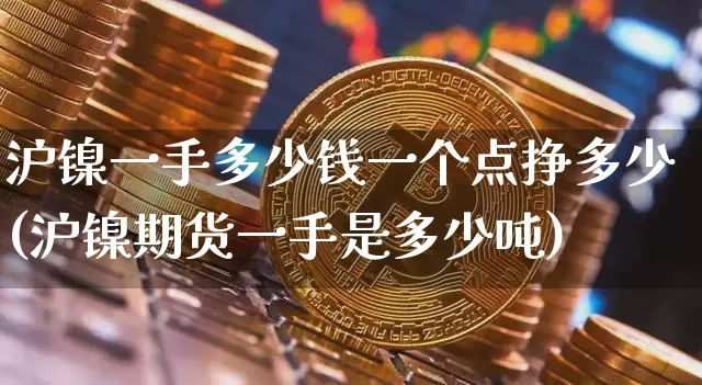 沪镍一手多少钱一个点挣多少(沪镍期货一手是多少吨)_https://www.qgjzrcxxzxpt.com_广期所_第1张
