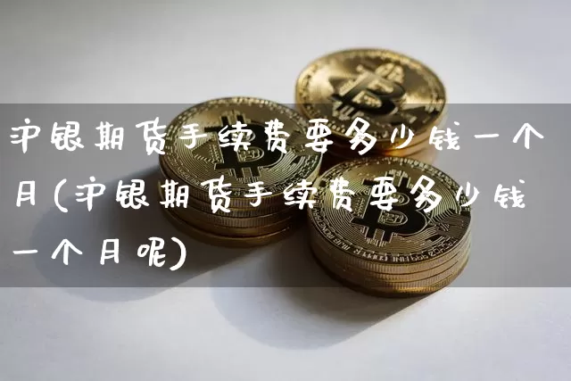 沪银期货手续费要多少钱一个月(沪银期货手续费要多少钱一个月呢)_https://www.qgjzrcxxzxpt.com_大商所_第1张