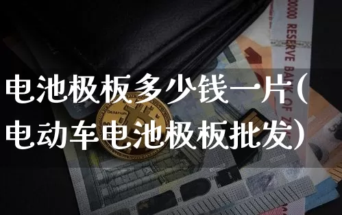 电池极板多少钱一片(电动车电池极板批发)_https://www.qgjzrcxxzxpt.com_郑商所_第1张