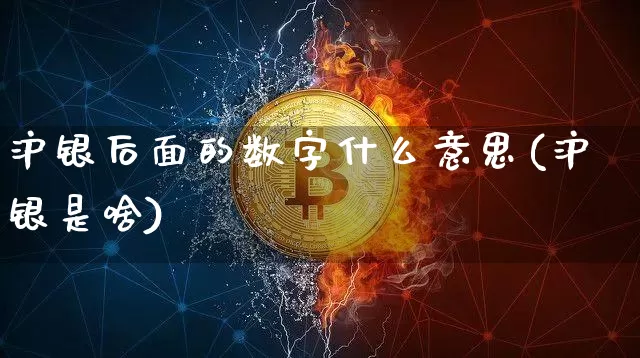 沪银后面的数字什么意思(沪银是啥)_https://www.qgjzrcxxzxpt.com_广期所_第1张