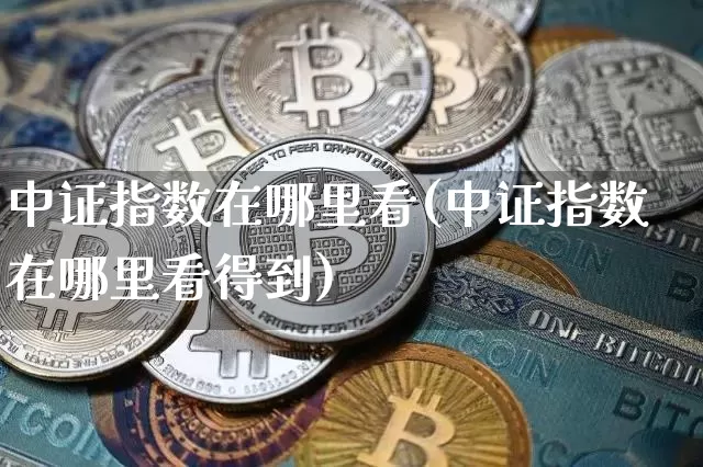 中证指数在哪里看(中证指数在哪里看得到)_https://www.qgjzrcxxzxpt.com_广期所_第1张