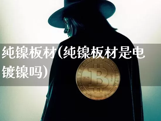 纯镍板材(纯镍板材是电镀镍吗)_https://www.qgjzrcxxzxpt.com_大商所_第1张