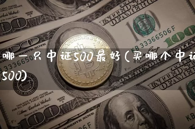 哪一只中证500最好(买哪个中证500)_https://www.qgjzrcxxzxpt.com_上期能源_第1张