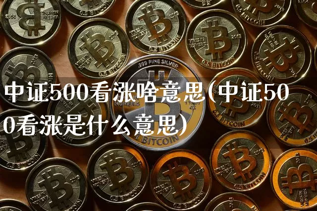 中证500看涨啥意思(中证500看涨是什么意思)_https://www.qgjzrcxxzxpt.com_广期所_第1张