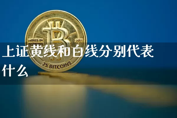 上证黄线和白线分别代表什么_https://www.qgjzrcxxzxpt.com_上期所_第1张