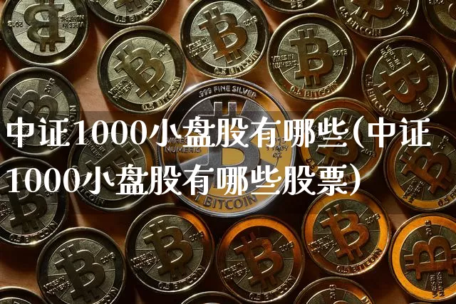 中证1000小盘股有哪些(中证1000小盘股有哪些股票)_https://www.qgjzrcxxzxpt.com_中金所_第1张