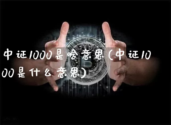 中证1000是啥意思(中证1000是什么意思)_https://www.qgjzrcxxzxpt.com_广期所_第1张