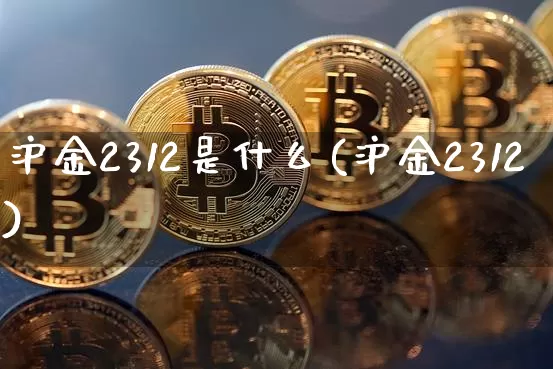 沪金2312是什么(沪金2312)_https://www.qgjzrcxxzxpt.com_上期所_第1张