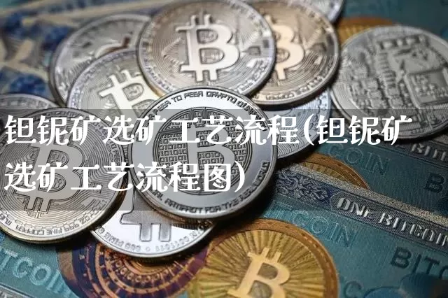 钽铌矿选矿工艺流程(钽铌矿选矿工艺流程图)_https://www.qgjzrcxxzxpt.com_大商所_第1张