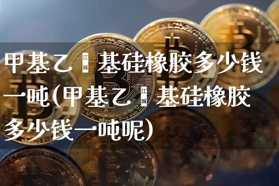 甲基乙烯基硅橡胶多少钱一吨(甲基乙烯基硅橡胶多少钱一吨呢)_https://www.qgjzrcxxzxpt.com_郑商所_第1张