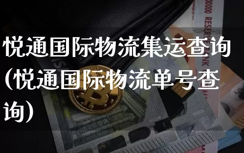 悦通国际物流集运查询(悦通国际物流单号查询)_https://www.qgjzrcxxzxpt.com_中金所_第1张