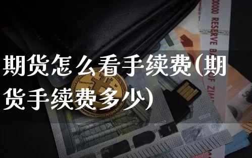 期货怎么看手续费(期货手续费多少)_https://www.qgjzrcxxzxpt.com_大商所_第1张
