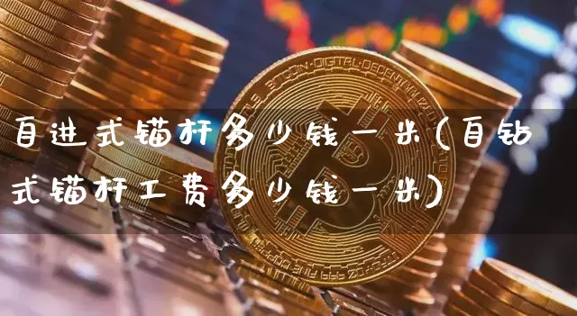 自进式锚杆多少钱一米(自钻式锚杆工费多少钱一米)_https://www.qgjzrcxxzxpt.com_大商所_第1张