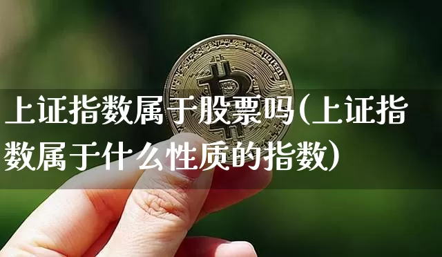 上证指数属于股票吗(上证指数属于什么性质的指数)_https://www.qgjzrcxxzxpt.com_上期能源_第1张