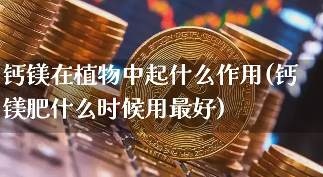 钙镁在植物中起什么作用(钙镁肥什么时候用最好)_https://www.qgjzrcxxzxpt.com_大商所_第1张