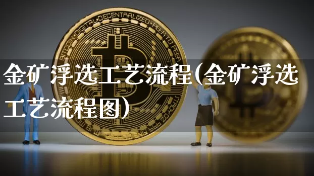 金矿浮选工艺流程(金矿浮选工艺流程图)_https://www.qgjzrcxxzxpt.com_上期能源_第1张