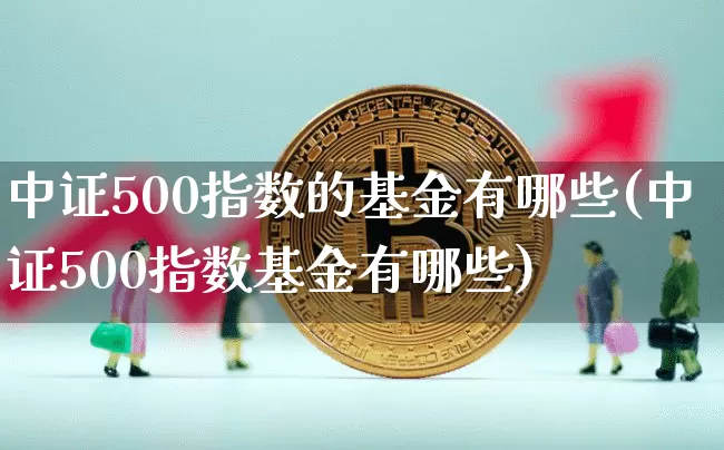 中证500指数的基金有哪些(中证500指数基金有哪些)_https://www.qgjzrcxxzxpt.com_大商所_第1张