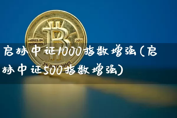 启林中证1000指数增强(启林中证500指数增强)_https://www.qgjzrcxxzxpt.com_广期所_第1张