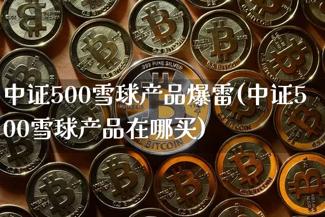 中证500雪球产品爆雷(中证500雪球产品在哪买)_https://www.qgjzrcxxzxpt.com_广期所_第1张