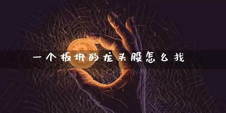 一个板块的龙头股怎么找_https://www.qgjzrcxxzxpt.com_中金所_第1张