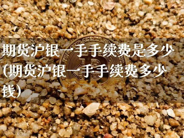 期货沪银一手手续费是多少(期货沪银一手手续费多少钱)_https://www.qgjzrcxxzxpt.com_广期所_第1张