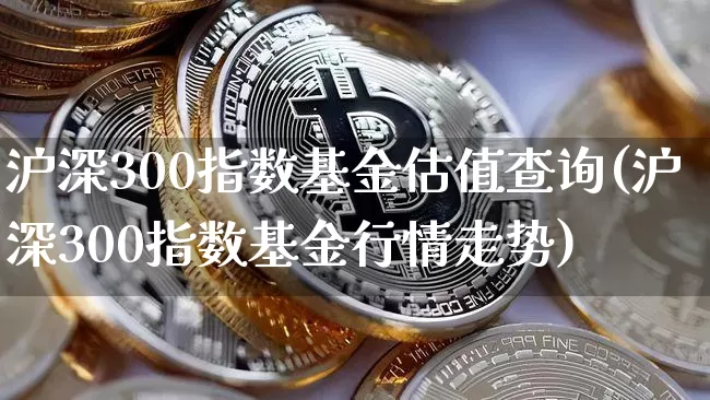 沪深300指数基金估值查询(沪深300指数基金行情走势)_https://www.qgjzrcxxzxpt.com_上期所_第1张