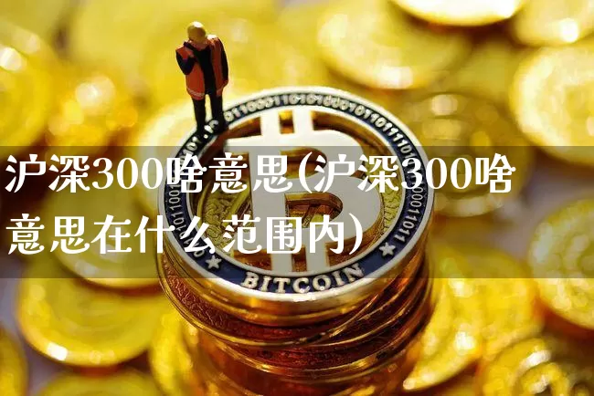 沪深300啥意思(沪深300啥意思在什么范围内)_https://www.qgjzrcxxzxpt.com_上期能源_第1张